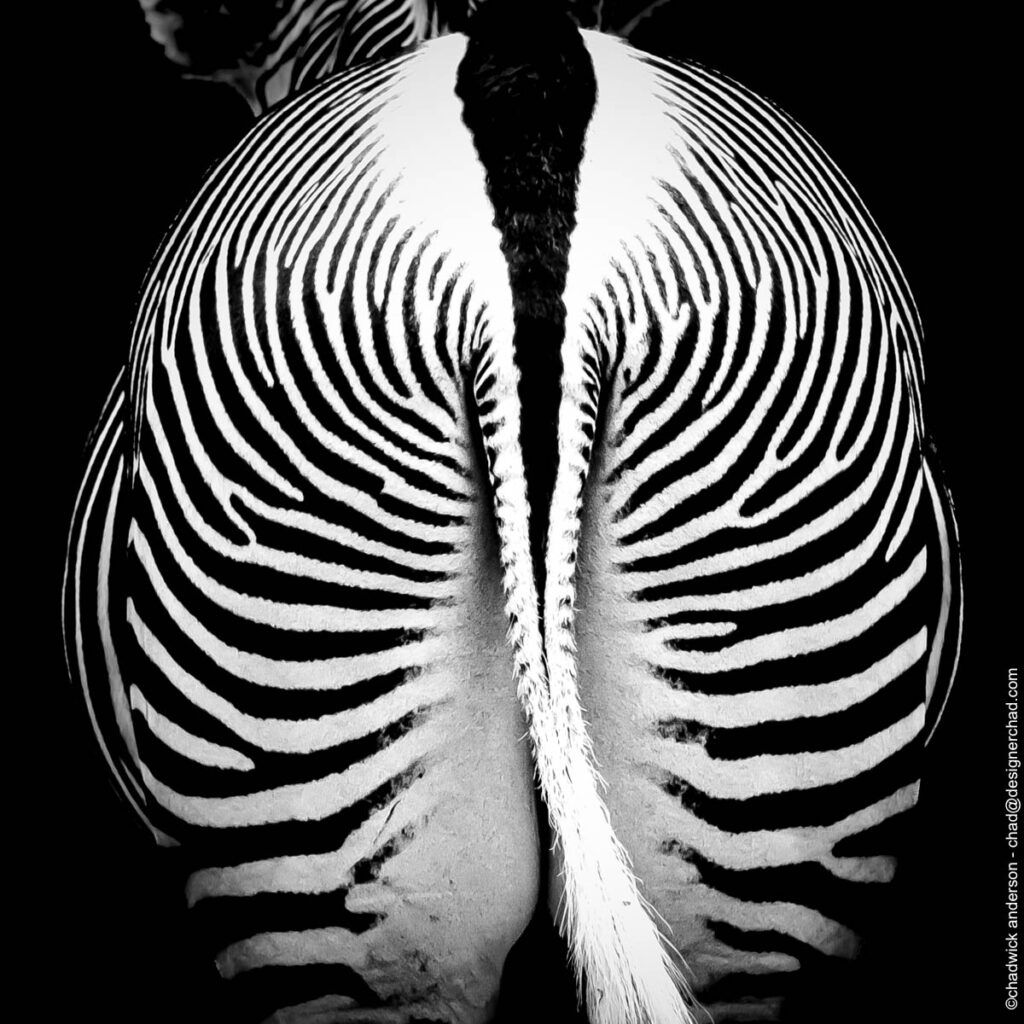 Stripes