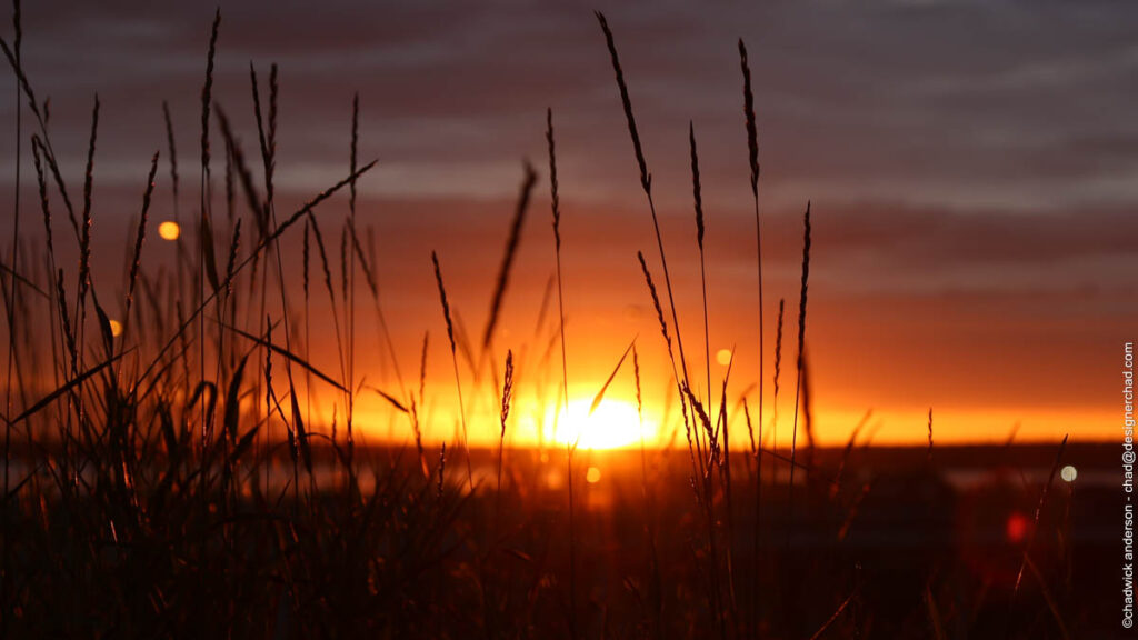 Midnight Sun