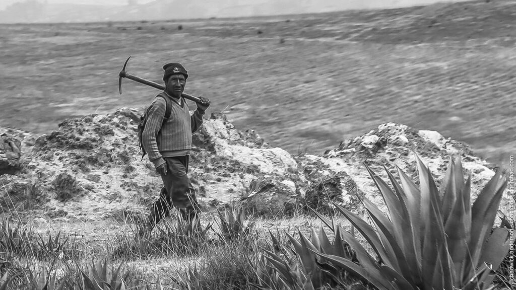 Minero