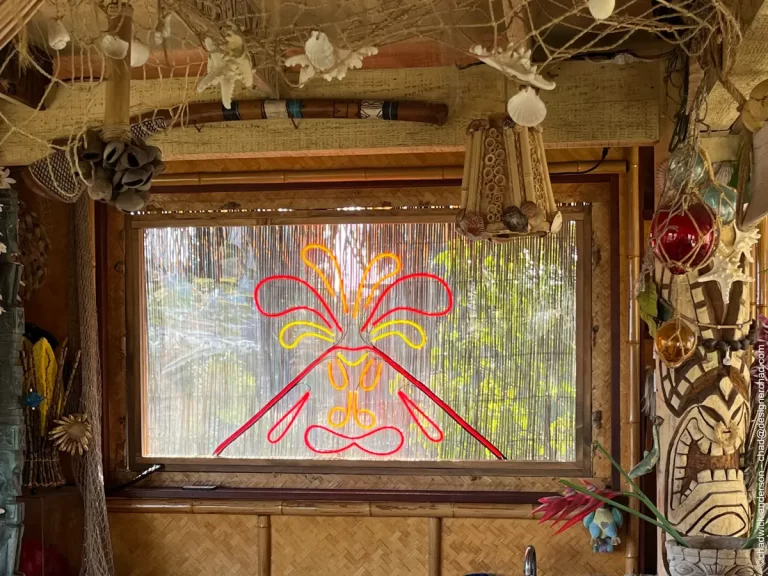 Installed in the Tiki Bar